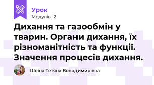 Дихання та газообмін у тварин. Органи дихання, їх різноманітність та функції. Значення процесів дихання.