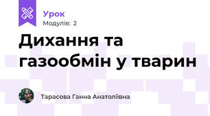 Дихання та газообмін у тварин