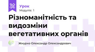 Різноманітність та видозміни вегетативних органів