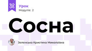 Сосна