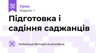Підготовка і садіння саджанців