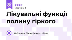 Лікувальні функції полину гіркого