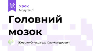 Головний мозок