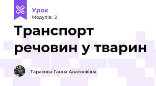 Транспорт речовин у тварин