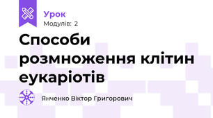 Способи розмноження клітин еукаріотів