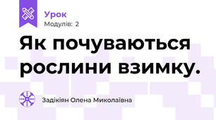 Як почуваються рослини взимку. 