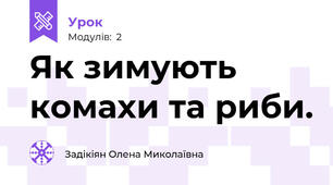 Як зимують комахи та риби.