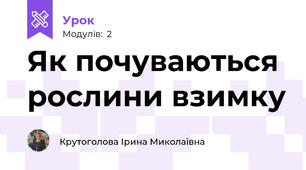 Як почуваються рослини взимку