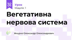 Вегетативна нервова система