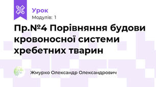 Пр.№4 Порівняння будови кровоносної системи хребетних тварин
