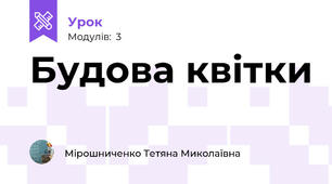 Будова квітки