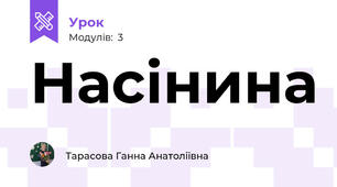 Насінина