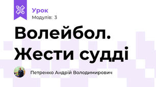 Волейбол. Жести судді