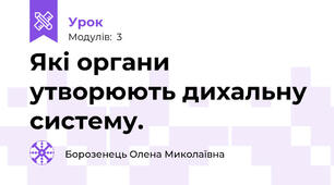 Які органи утворюють дихальну систему.