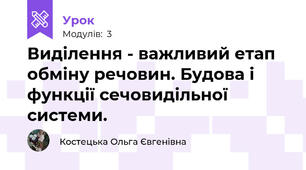 Виділення - важливий етап обміну речовин. Будова і функції сечовидільної системи.