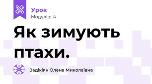 Як зимують птахи.