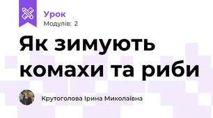 Як зимують комахи та риби