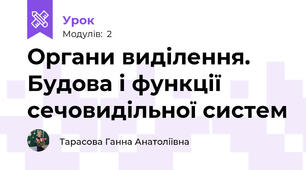 Органи виділення. Будова і функції сечовидільної систем
