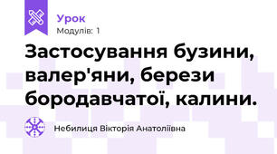 Застосування бузини, валер'яни, берези бородавчатої, калини.