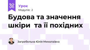 Будова та значення шкіри  та її похідних