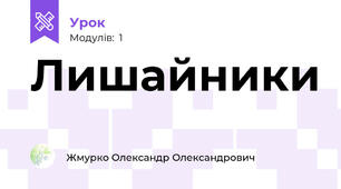 Лишайники