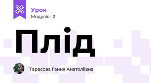 Плід