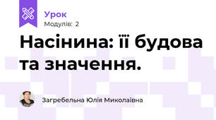 Насінина: її будова та значення.
