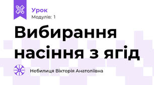 Вибирання насіння з ягід