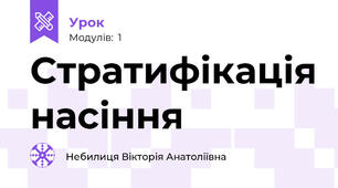 Стратифікація насіння
