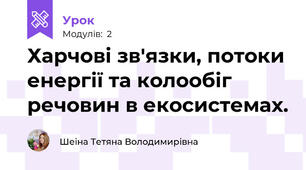 Харчові зв'язки, потоки енергії та колообіг речовин в екосистемах.