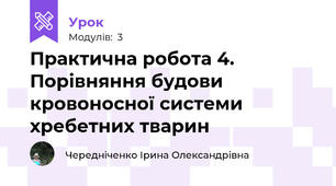 Практична робота 4. Порівняння будови кровоносної системи хребетних тварин