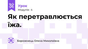 Як перетравлюється їжа.
