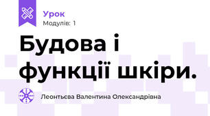 Будова і функції шкіри.