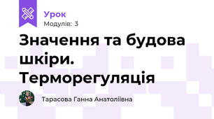 Значення та будова шкіри. Терморегуляція