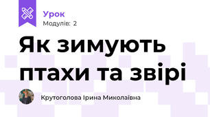 Як зимують птахи та звірі