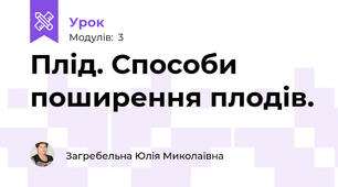 Плід. Способи поширення плодів.