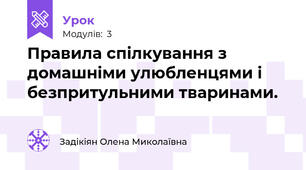 Правила спілкування з домашніми улюбленцями і безпритульними тваринами.