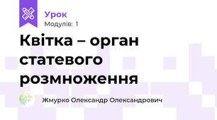 Квітка – орган статевого розмноження