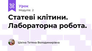 Статеві клітини. Лабораторна робота.
