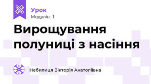 Вирощування полуниці з насіння