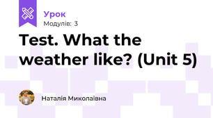 Test. What the weather like? (Unit 5)