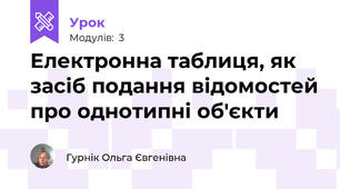 Електронна таблиця, як засіб подання відомостей про однотипні об'єкти