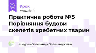 Практична робота №5  Порівняння будови скелетів хребетних тварин