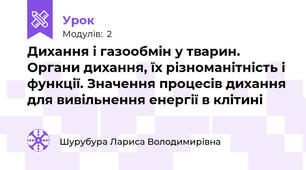 Дихання і газообмін у тварин. Органи дихання, їх різноманітність і функції. Значення процесів дихання для вивільнення енергії в клітині