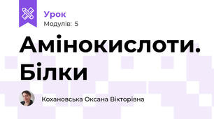 Амінокислоти. Білки