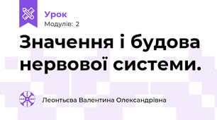 Значення і будова нервової системи.
