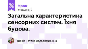 Загальна характеристика сенсорних систем. Їхня будова.