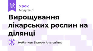 Вирощування лікарських рослин на ділянці
