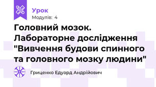 Головний мозок. Лабораторне дослідження "Вивчення будови спинного та головного мозку людини"