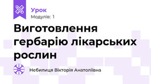 Виготовлення гербарію лікарських рослин